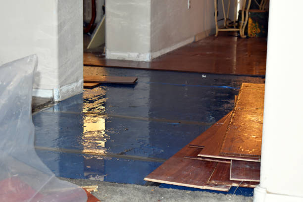 Professional Water Damage Restoration technician working in Chatfield, TX